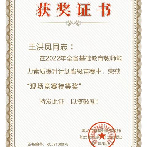 团结协作结硕果，省赛展示竞风流—记虎林市迎春学校道德与法治教师王洪凤参与省级竞赛展示活动