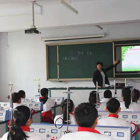 2015虎林市第十一届课堂教学大赛总结及优质课展示