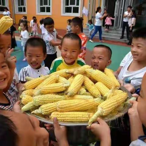 推进“安吉游戏” 共绘美好童年