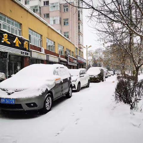 2022年1月15日，绥棱又下雪了