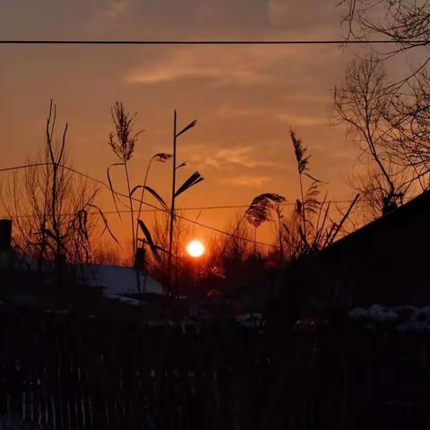 2021年1、2月份值守的朝朝暮暮