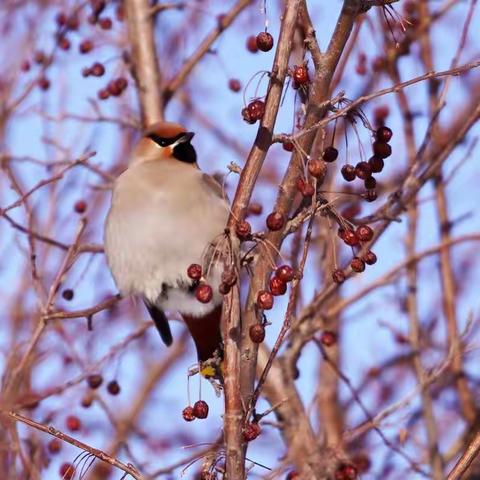 2021年生活中的一瞬间