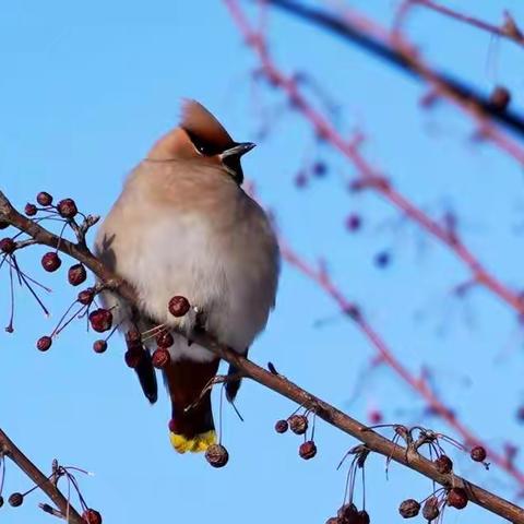 李同学2021年的难忘时光