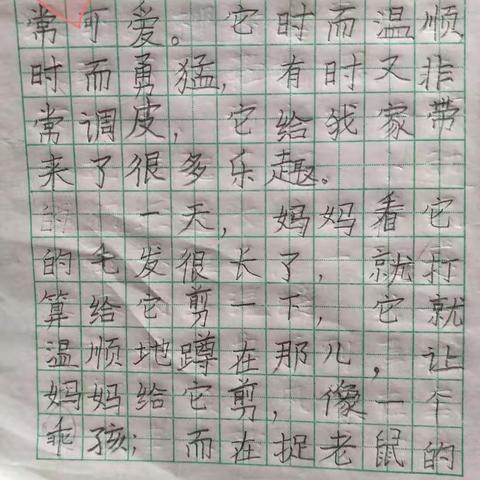 我和二一班的同学们