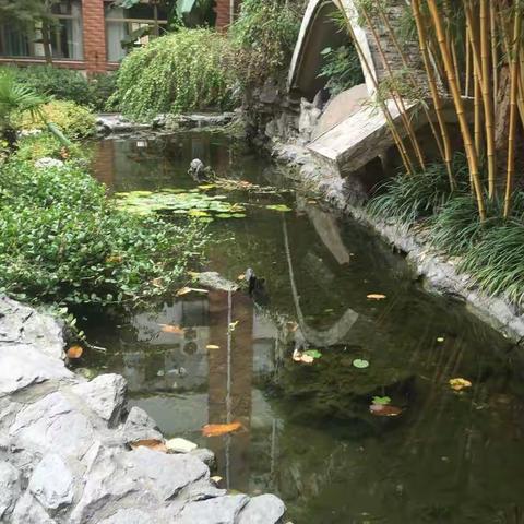 生态