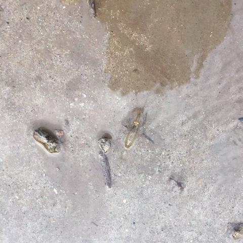 《直面教育怪现象日记》