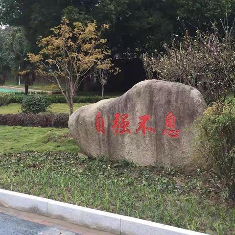 最美身影