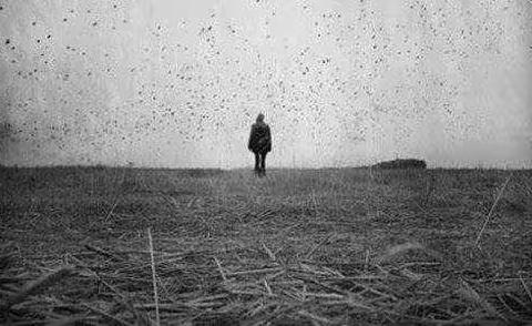 人生是一场错过，愿你别蹉跎。