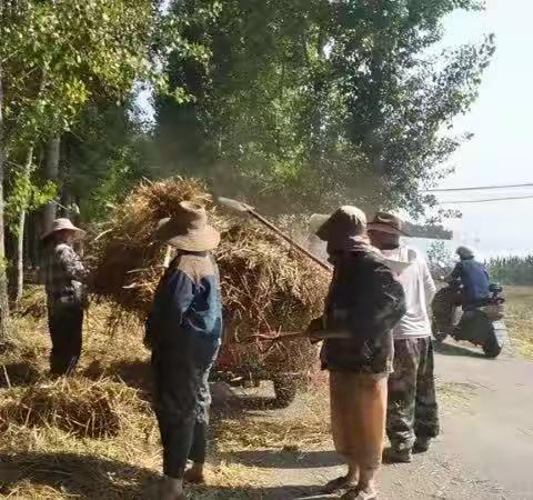 清化镇街道：开展清“四边”推进人居环境美净