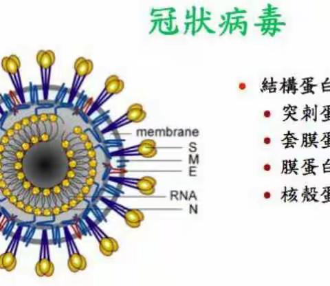 防控冠状病毒进行时——德惠市万宝镇广太中学