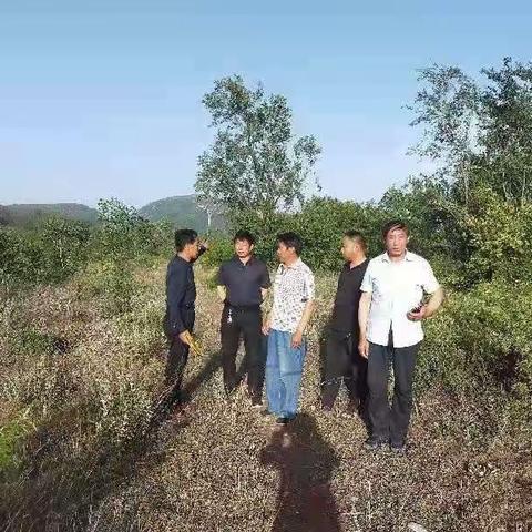 户外训练基地投资项目