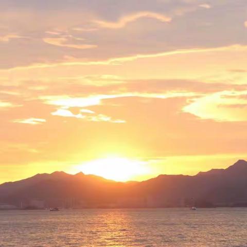 八一，我们去看海