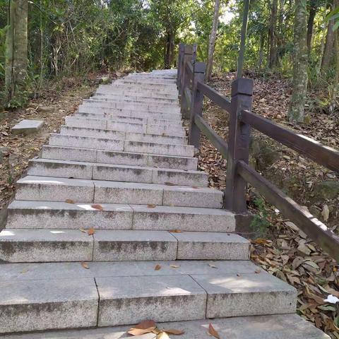 飞鹅岭上扫路人