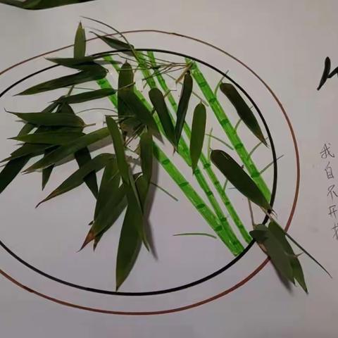 “线上教学助花开，居家学习盼疫散”——神山镇小学三年级数学线上教学美篇