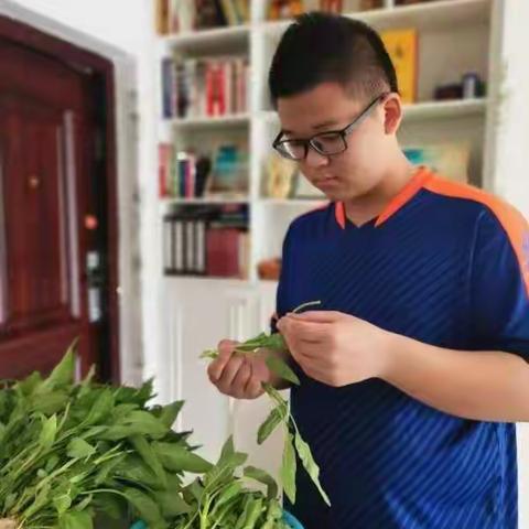 初一（1）班孙荣斌寒假实践作业