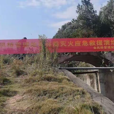 金凤桥管理处森林防灭火应急救援演练