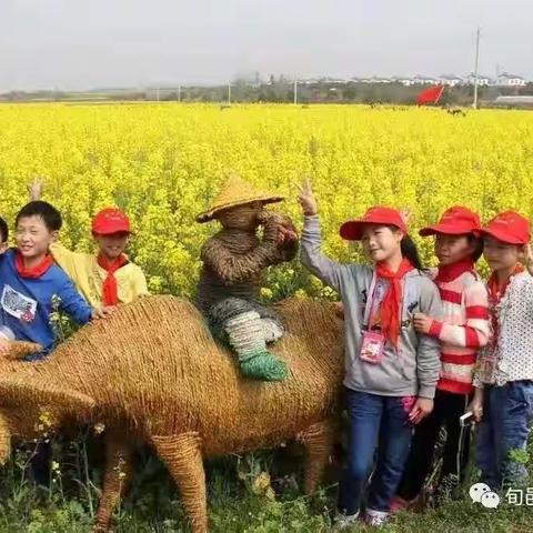 《亲近自然  春意写生》户外活动写生