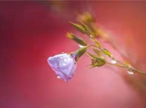 2018，路再难，也要走