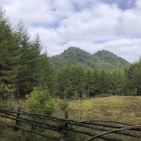 绿野仙踪般的美景——曾家山