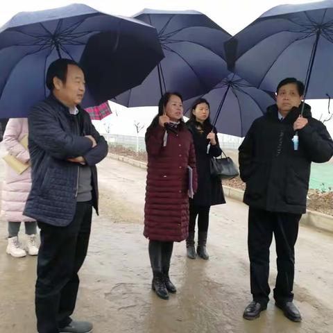 省渭河生态区保护中心对我市渭河生态区2019年度目标任务完成情况进行考核