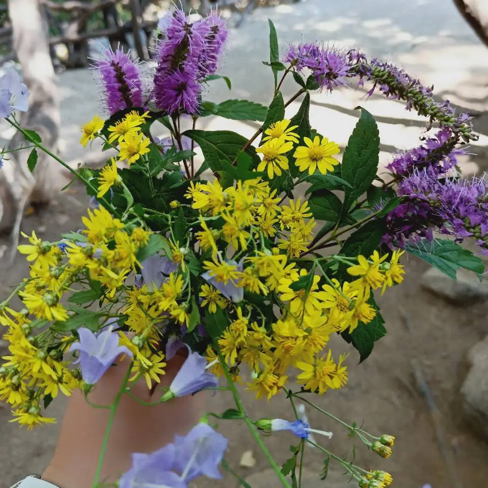 实验原理：书面是粗糙的，两张页面叠在一起，当向两边拉开的时候，会产生阻碍书面拉开的摩擦力。两本书每页交错