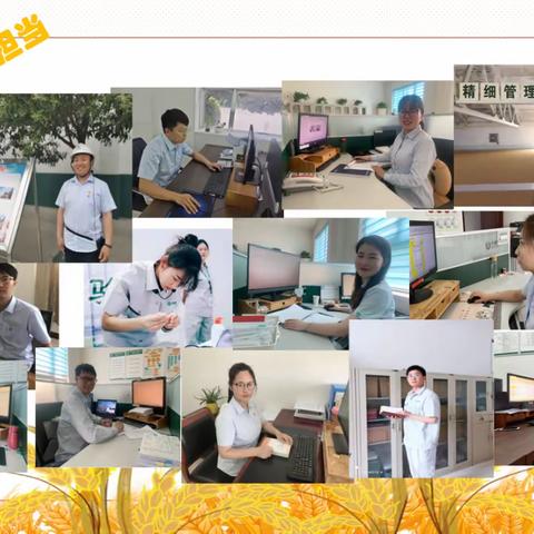 学党史、强信念、跟党走——书写储粮青年青春之华章