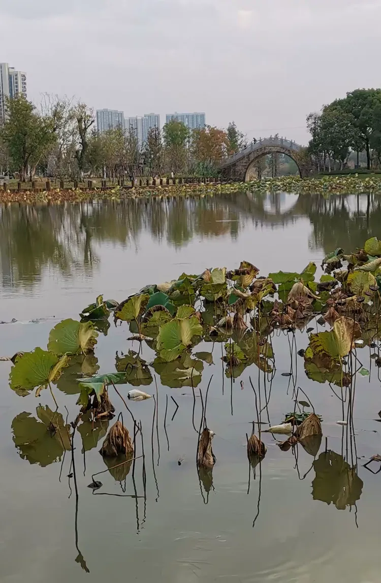 象湖镇天气预报 象湖镇天气预报