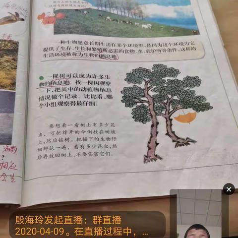 杨家庄小学＂空中课堂＂教育简报