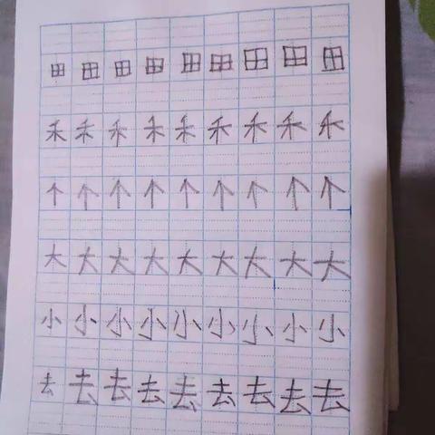3月24  牛传硕