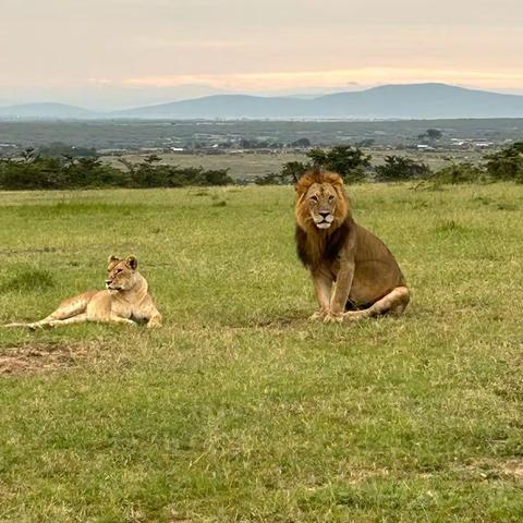 走进非洲（之一）