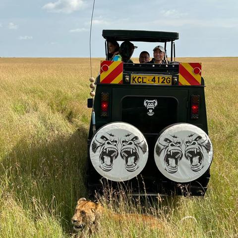 走进非洲（马赛马拉）