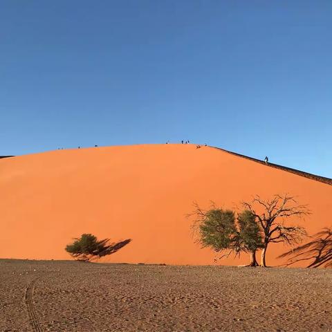 在纳米比亚旅行