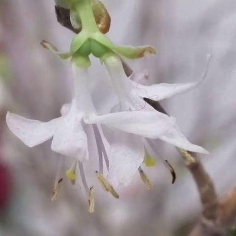 把掌声送给你——七年三班  刘梓涵