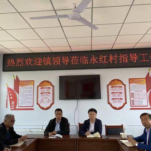 新华镇开展“党委书记带队，走遍所有党支部”工作