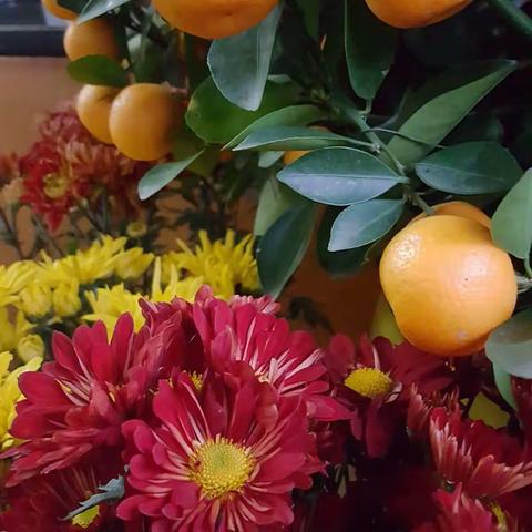 吉临春禧赏娇俏，闲趁岁晚叹逍遥。