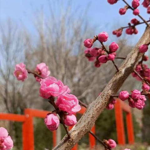 同心战“疫”，共筑心理长城 — 关注学生学习和心理健康