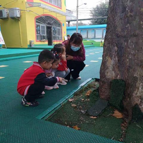 鱼台县机关幼儿园中二班生成活动——雨后的小惊喜