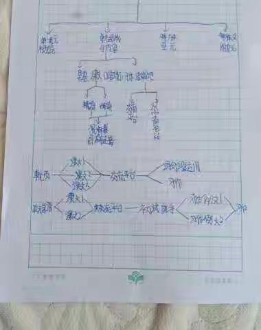 6年级8班停课不停学