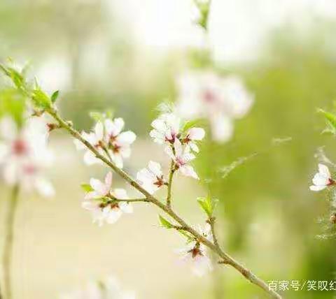 停课不停学――在学习中成长，在成长中学习