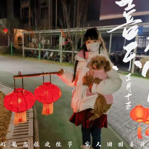 《喜迎佳节，欢闹元宵》