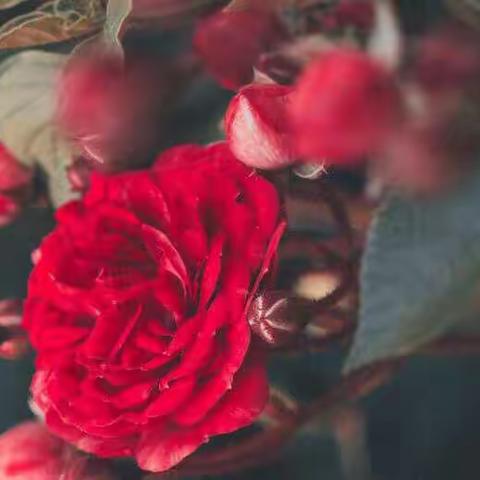 县直幼儿园——“成长不停歇”今日份打卡喽！