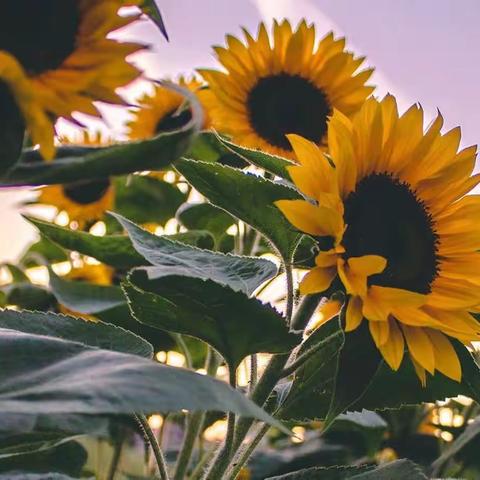 👑记录美好时光---我们长大了🎊🎊 ——中五班学期结束美篇