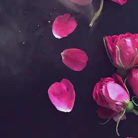 县直幼儿园——“成长不停歇”今日份打卡喽！