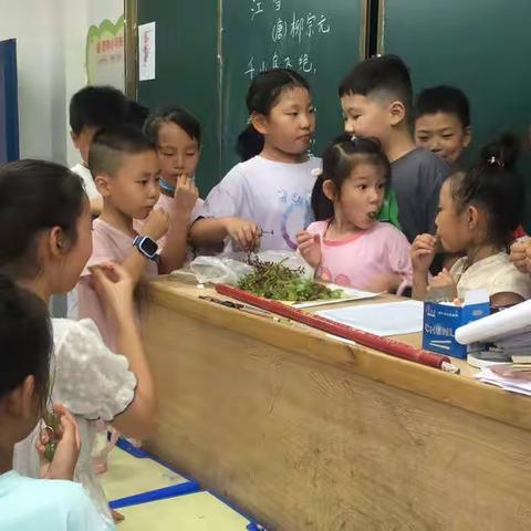 让阅读为生命擦亮底色———西苑学校暑假托管一年级阅读指导课纪实（八）