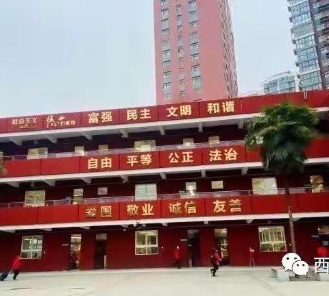 新光小学手机管理告家长书