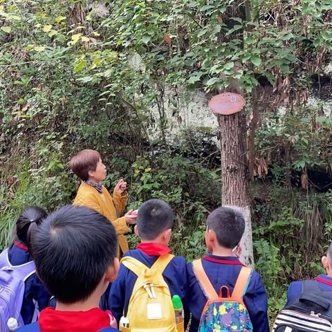 秋之游，叶之旅——宣汉县红专路小学本部二年级秋游研学活动