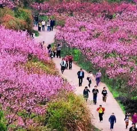 《填词三首》文/郑朝英