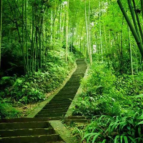 现代诗《七月题记》文/郑朝英