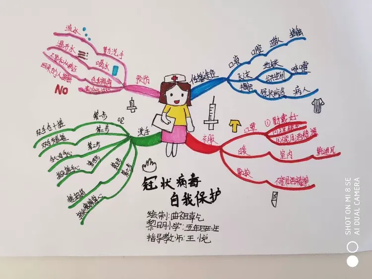 抗疫进行时 之 思维导图解病毒🦠