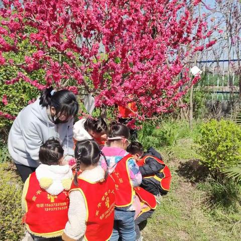 22年高平镇智慧幼儿园宝宝班幼儿园日常生活美好碎片集锦